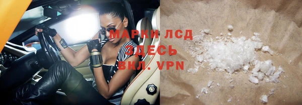 прущие грибы Лабытнанги