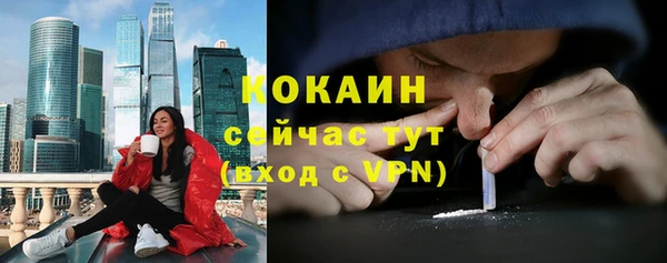 прущие грибы Лабытнанги