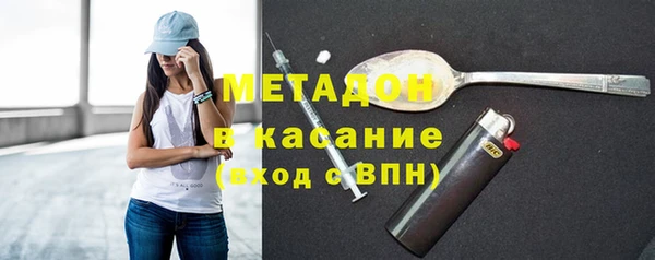 прущие грибы Лабытнанги