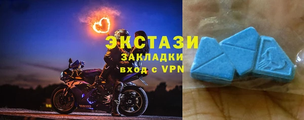 прущие грибы Лабытнанги