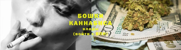 дживик Лагань