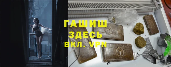 прущие грибы Лабытнанги