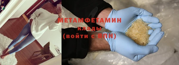 прущие грибы Лабытнанги