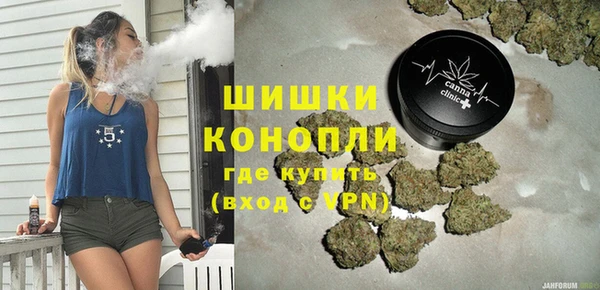прущие грибы Лабытнанги