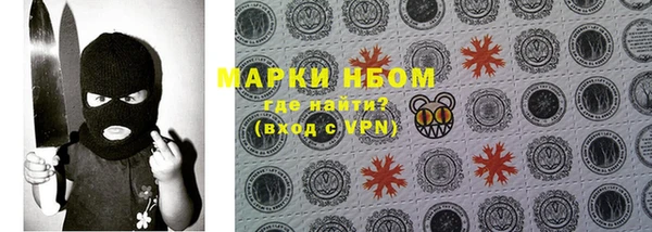 прущие грибы Лабытнанги