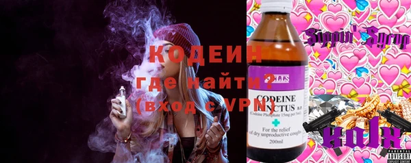 прущие грибы Лабытнанги
