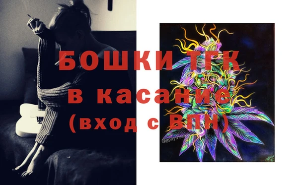 дживик Лагань