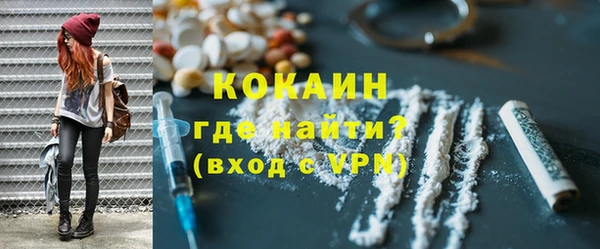 прущие грибы Лабытнанги