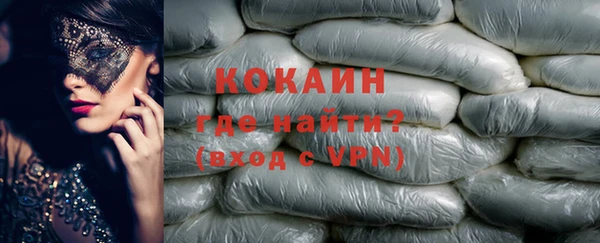 прущие грибы Лабытнанги