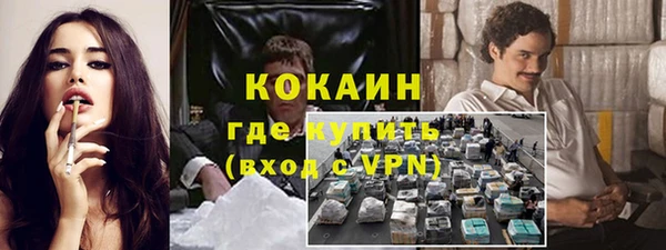 прущие грибы Лабытнанги
