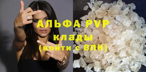 прущие грибы Лабытнанги