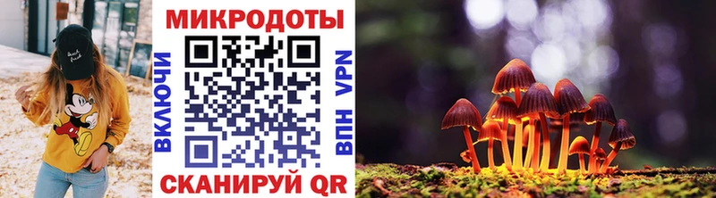 купить наркотик  Орск  Галлюциногенные грибы Psilocybe 